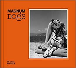 Magnum Dogs