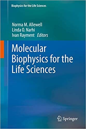 Molecular Biophysics for the Life Sciences (Biophysics for the Life Sciences (6), Band 6)