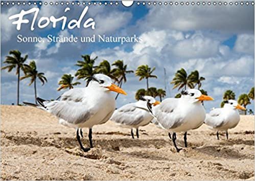 Florida - Sonne, Strände und Naturparks (Wandkalender 2017 DIN A3 quer): Florida - Impressionen aus dem Sunshine State (Monatskalender, 14 Seiten ) (CALVENDO Natur)