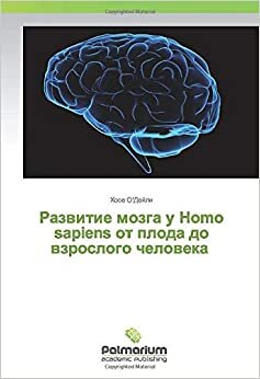 Развитие мозга у Homo sapiens от плода до взрослого человека indir