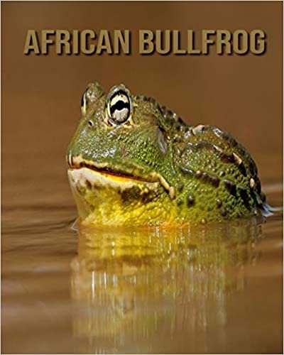 African Bullfrog: Fun Facts & Cool Pictures