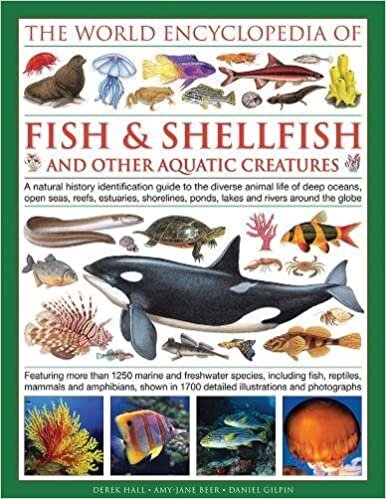 The World Encyclopedia of Fish & Shellfish of the World: A Natural History Identification Guide to the Diverse Animal Life of Deep Oceans, Open ... Rivers Around the Globe (World Encyclopedia)