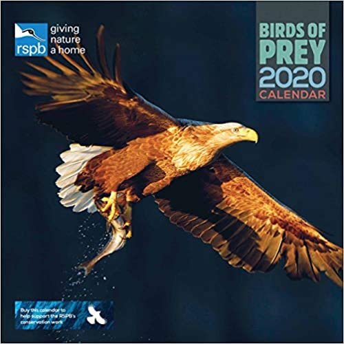 RSPB Birds of Prey Square Wall Calendar 2020