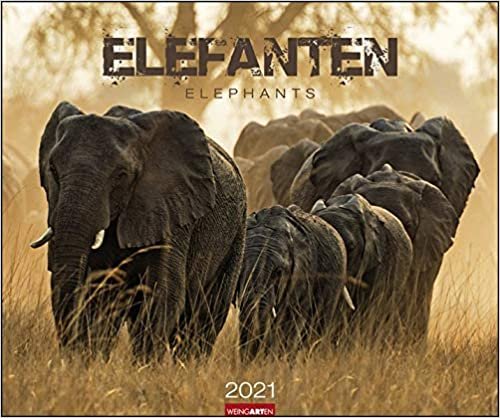 Elefanten - Kalender 2021