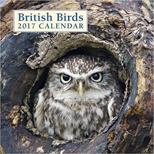 British Birds 2017 Calendar