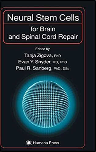 Neural Stem Cells for Brain and Spinal Cord Repair (Contemporary Neuroscience)