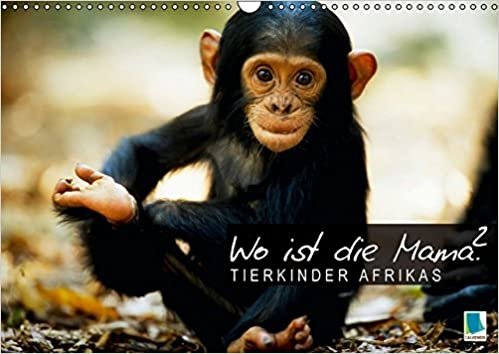 Wo ist die Mama? Tierkinder Afrikas (Wandkalender 2016 DIN A3 quer): Kuscheliges Familienglück (Monatskalender, 14 Seiten) (CALVENDO Tiere) indir
