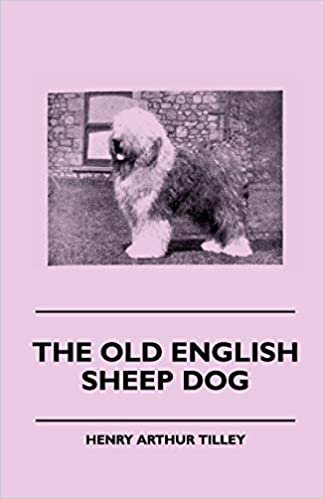 The Old English Sheep Dog