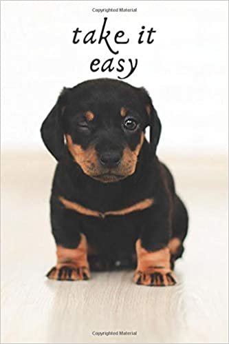 take it easy: Motivational Notebook, Journal, Diary (110 Pages, Blank, 6 x 9)