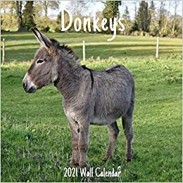 Donkeys 2021 Wall Calendar: Donkeys 2021 Calendar, 18 Months. indir