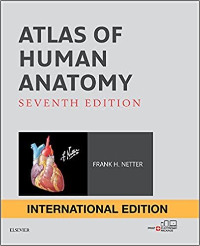 Atlas of Human Anatomy International Edition (Netter Basic Science)