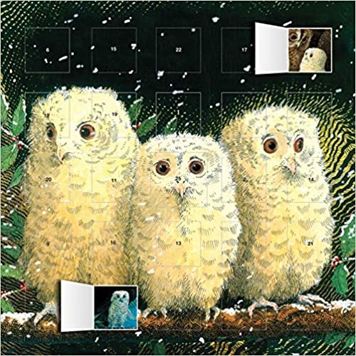 Owl Babies advent calendar (with stickers) indir