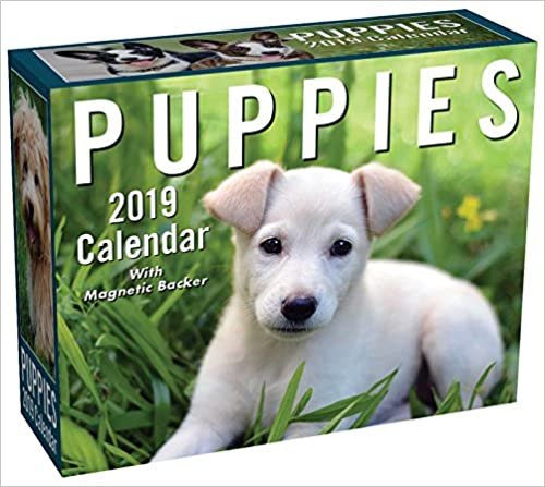 Puppies 2019 Mini Day-to-Day Calendar indir