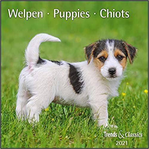 Welpen Puppies 2021 - Broschürenkalender - Wandkalender - mit herausnehmbarem Poster - Format 30 x 30 cm indir