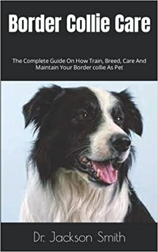 Border Collie Care: The Complete Guide On How Train, Breed, Care And Maintain Your Border collie As Pet