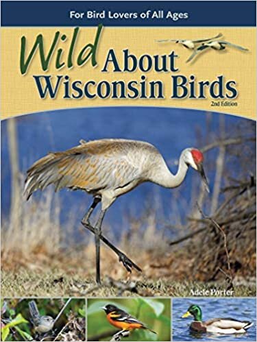Wild About Wisconsin Birds: For Bird Lovers of All Ages (Wild About Birds) indir