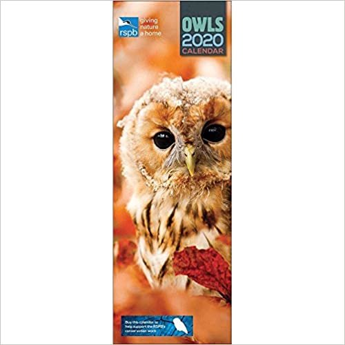 RSPB Owls Slim Calenar 2020 indir