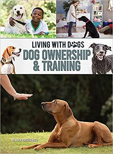 Dog Ownership & Training