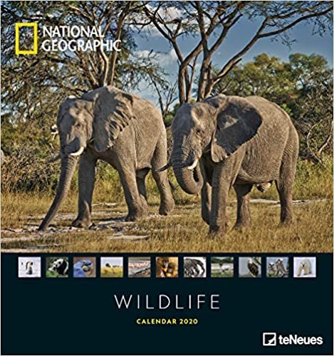 National Geographic: Wildlife 2020