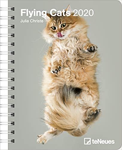 Flying Cats 2020 Deluxe Diary indir
