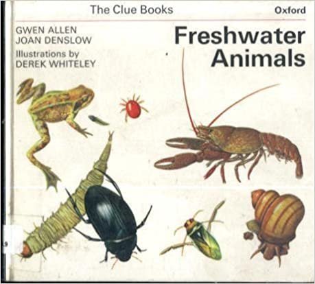 Freshwater Animals (Clue Books)