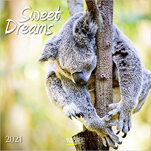 Sweet Dreams 2021: Broschürenkalender mit Ferienterminen. Süß schlafende Tiere indir