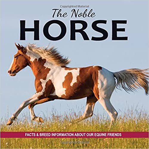 The Noble Horse: Facts and breed information on our equine friends