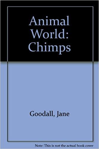 Animal World: Chimps