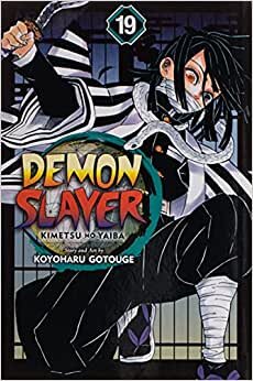 Demon Slayer: Kimetsu no Yaiba, Vol. 19: Volume 19
