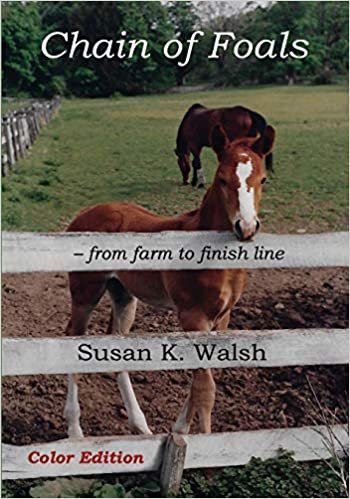 Chain of Foals Color Edition: from farm to finish line