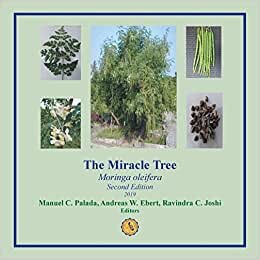 The Miracle Tree: Moringa Oleifera