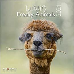 Lustig - Freaky Animals 2021: Art & Image Broschürenkalender
