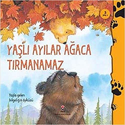 Yaşlı Ayılar Ağaca Tırmanamaz