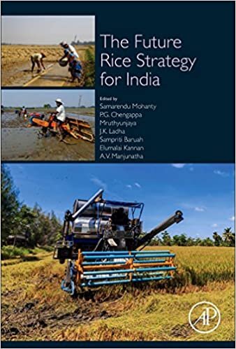 The Future Rice Strategy for India indir