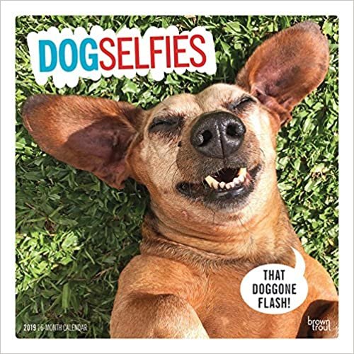 Dog Selfies 2019 Calendar