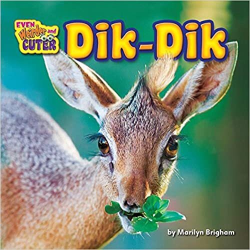 Dik-Dik (Even Weirder and Cuter)