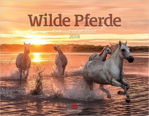 Wilde Pferde 2018