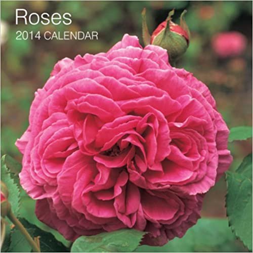 Roses 2014 Calendar (Calendars)