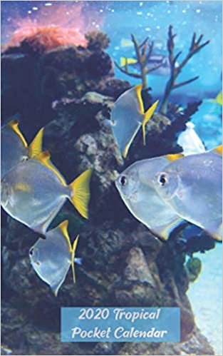2020 Tropical Pocket Calendar: January 2020 - December 2020 Mini Calendar - Monthly Dated With Yearly Spread and Notes Pages (Tropical Fish)