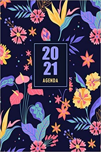 2021 Agenda: Organisateur professionnel pour tous les jours 2021 | Planificateur pendant 12 mois, Janvier 2021 à Décembre 2021