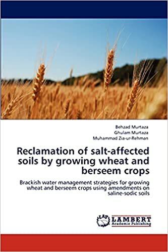 Reclamation of salt-affected soils by growing wheat and berseem crops: Brackish water management strategies for growing wheat and berseem crops using amendments on saline-sodic soils