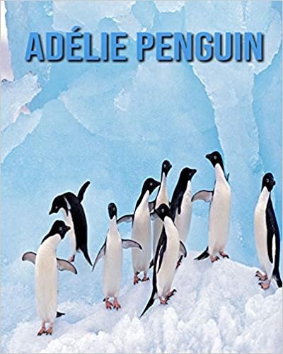 Adélie Penguin: Amazing Facts & Pictures