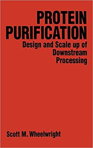 Protein Purification: Design and Scale Up of Downstream Processing indir