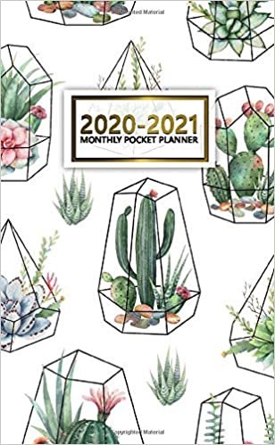 2020-2021 Monthly Pocket Planner: Nifty Two-Year (24 Months) Monthly Pocket Planner and Agenda | 2 Year Organizer with Phone Book, Password Log & Notebook | Cute Cactus & Geometric Pattern