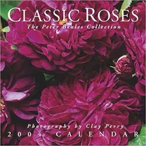 Classic Roses 2004 Calendar: The Peter Beales Collection