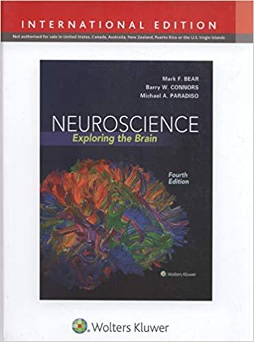 Neuroscience: Exploring the Brain (International Edition)