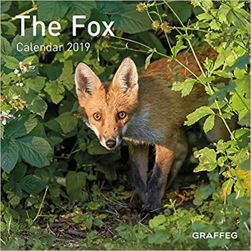 The Fox Calendar 2019 (Calendars 2019) indir
