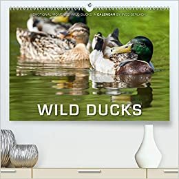 Emotional Moments: Wild Ducks. / UK-Version (Premium, hochwertiger DIN A2 Wandkalender 2021, Kunstdruck in Hochglanz): Ingo Gerlach has made great pictures of wild ducks. (Monthly calendar, 14 pages )