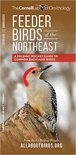 Feeder Birds of the Northeast: A Folding Pocket Guide to Common Backyard Birds (All About Birds Pocket Guide Series)