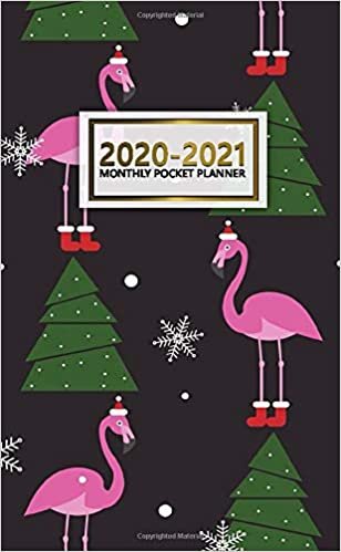 2020-2021 Monthly Pocket Planner: 2 Year Pocket Monthly Organizer & Calendar | Cute Two-Year (24 months) Agenda With Phone Book, Password Log and Notebook | Nifty Christmas Tree & Flamingo Print